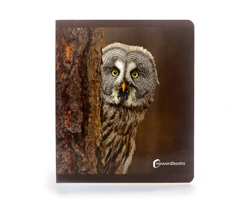 Los Animales del Bosque. Gran Formato. Nowordbooks